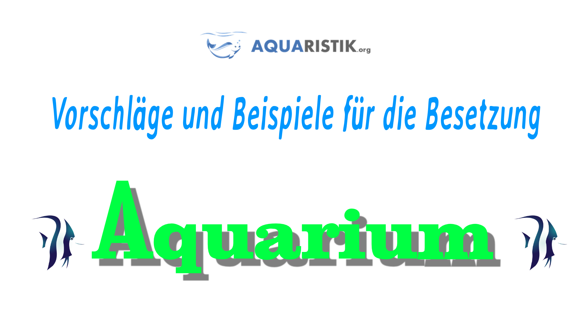 100l-112l Aquarium Besatz Beispiele 