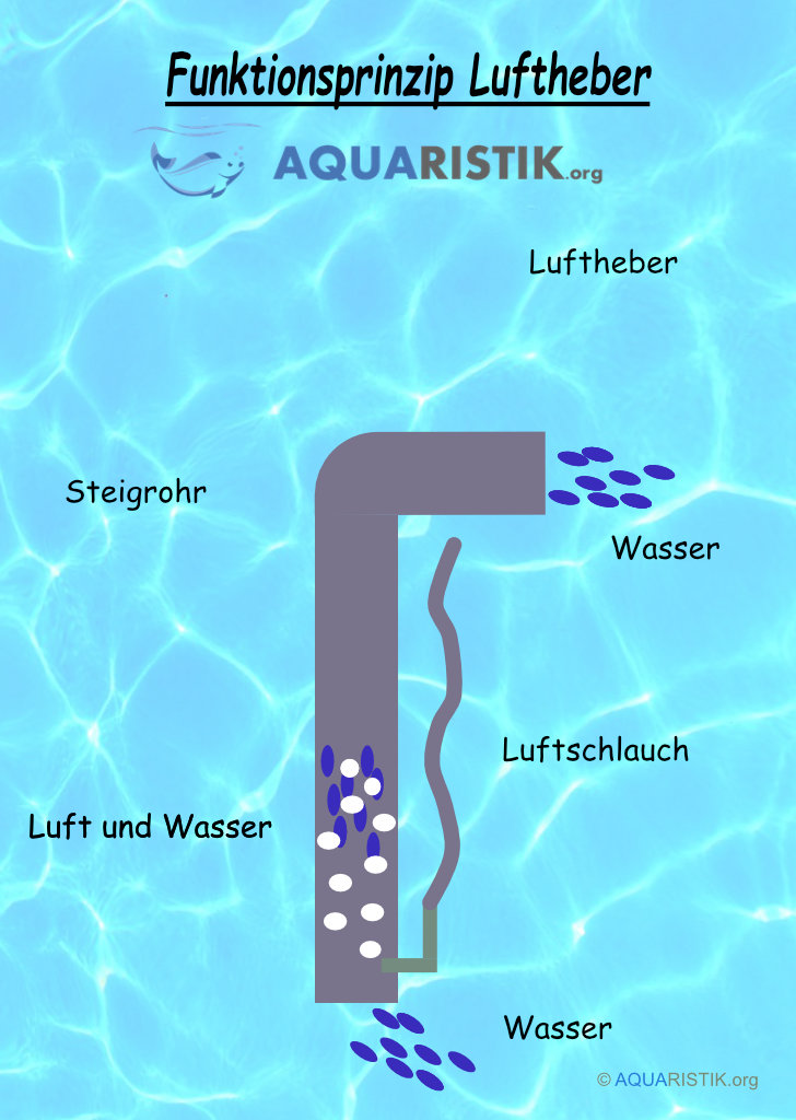 Huijukon Luftheber Filter Aquarium Schwammfilter Luftbetriebener