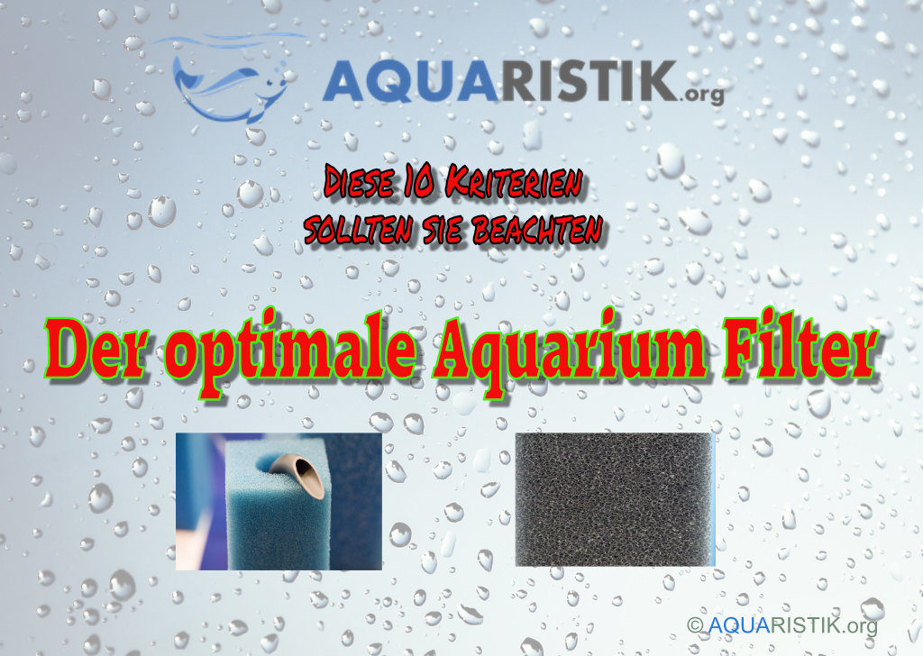 Aquarium Filter